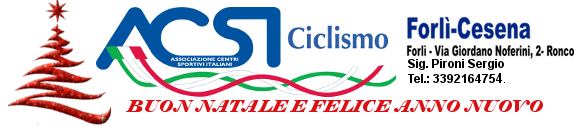 logo natale